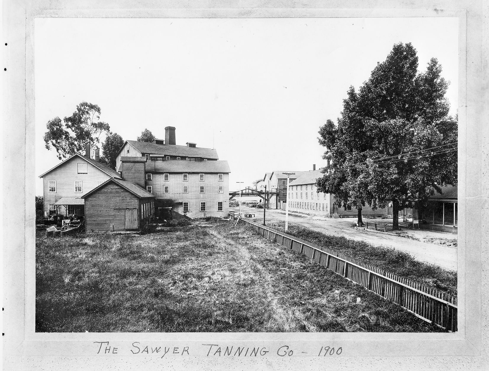 Napa History